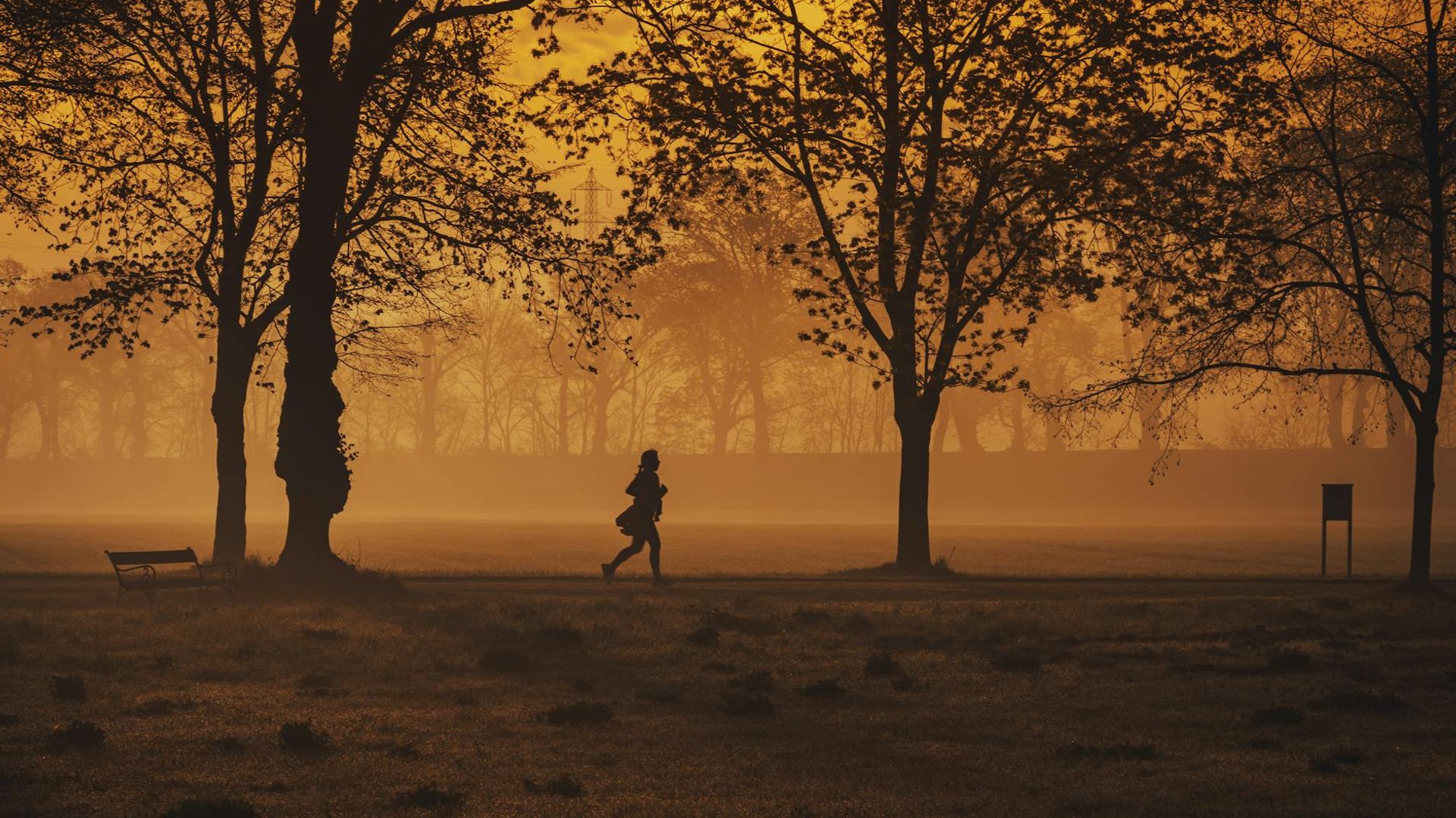 Active person running in a foggy forest during sunrise
